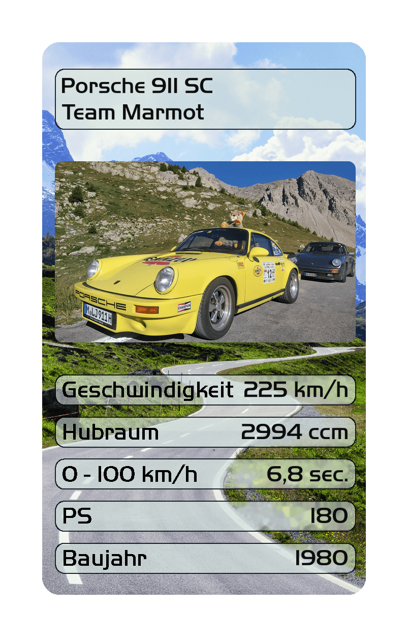 Team17Marmot